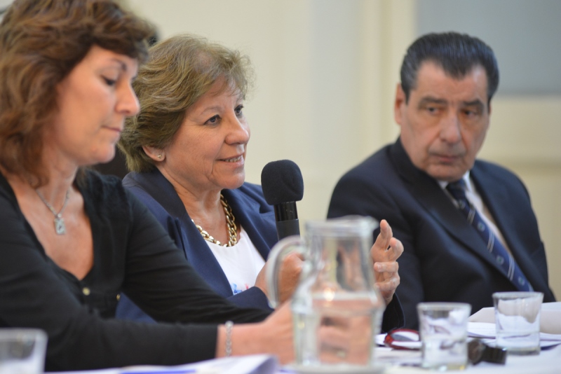 Debate Reforma de la Constitución de Mendoza